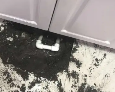 疏勒查漏水哪家好